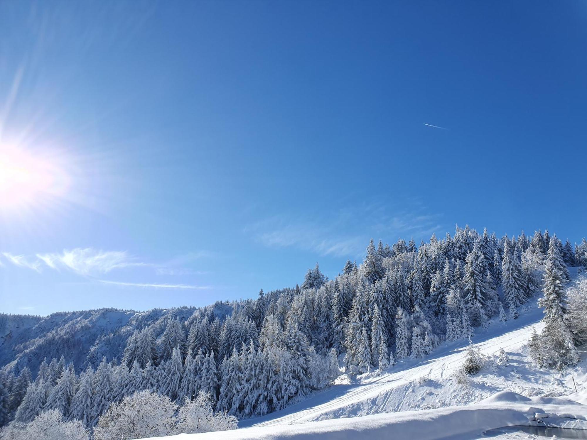 Agreable 3 Pieces Au Lac Blanc Orbey Bagian luar foto